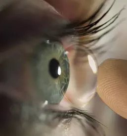 Optika lana sevnica