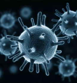 Optimizacija procesov higiene slovenija