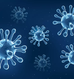 Optimizacija procesov higiene slovenija