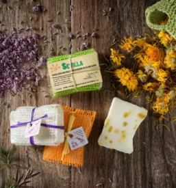 Organizacija izletov po energetskih točkah 