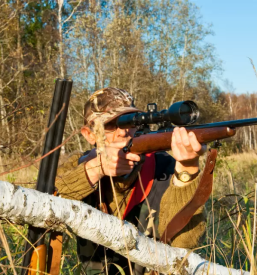 Organizacija lova na divjad v sloveniji in tujini