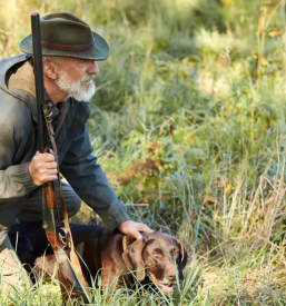 Organizacija lova na divjad v sloveniji in tujini