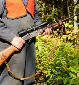 Organizacija lova na divjad v sloveniji in tujini