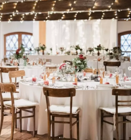 Organizacija porok gorenjska primorska hrvaska