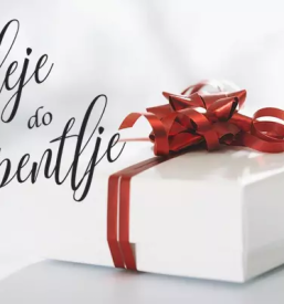 Organizacija prireditev in dogodkov slovenija