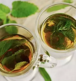 Organizacija strokovnih ekskurzij s podrocja zeliscarstva slovenija