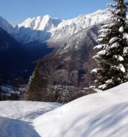 Organizirani pohodi v planine po sloveniji