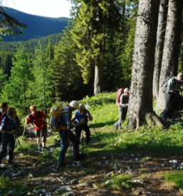 Organizirani pohodi v planine po sloveniji in tujini