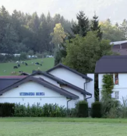 Živalski ortoped slovenija