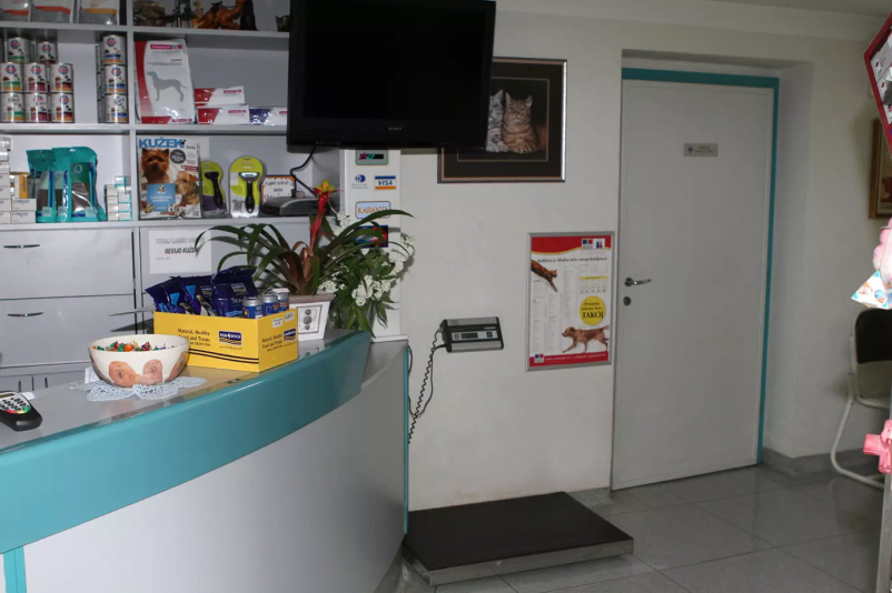 Ortopedija pri psih in mačkah Slovenija 