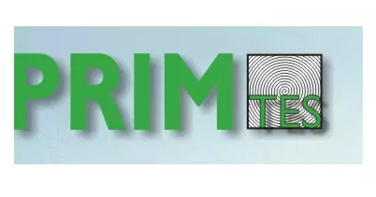 Izdelava lesenih brunaric po meri Ljubljana