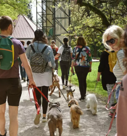 Pasja šola Ljubljana, Osrednja Slovenija