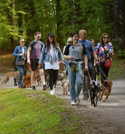 Pasja šola Ljubljana