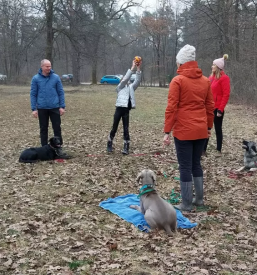 Pasja šola Ljubljana, Osrednja Slovenija