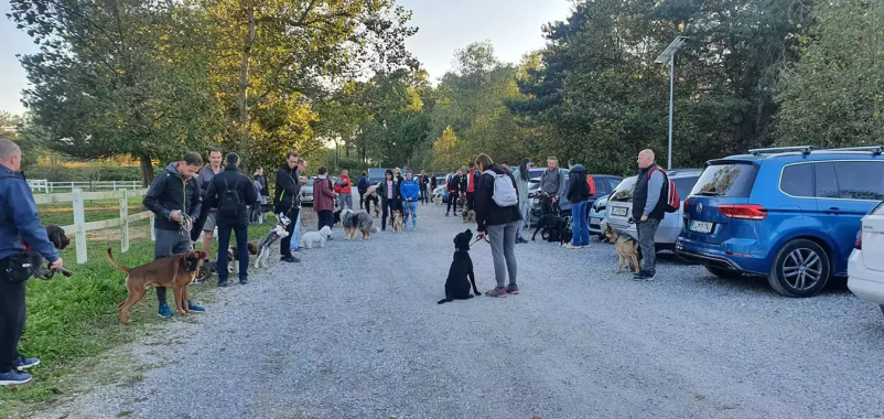 Pasja šola Ljubljana