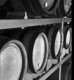 Penine istenic ljubljana slovenija