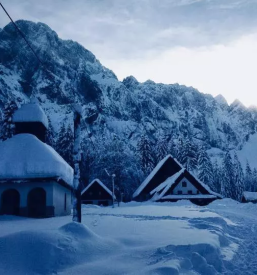 Planinski dom v tamarju