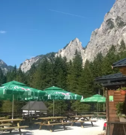 Planinski dom v tamarju