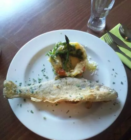 Planinski dom gorenjska