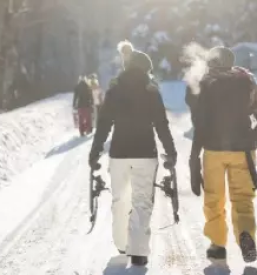 Planinsko drustvo planika maribor