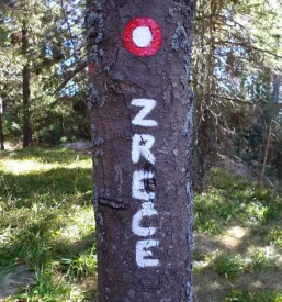 Gorski izleti planinskega društva Zreče