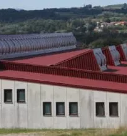 Plocevinasta stresna kritina slovenija