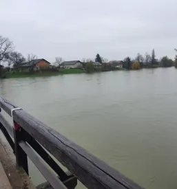 Podvrtavanje v sloveniji