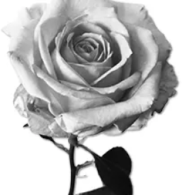 Pogrebna oprema gorenjska