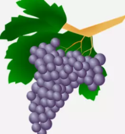 Pomoc pri nakupu vinogradniske opreme slovenija