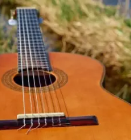 Popravilo glasbil slovenija