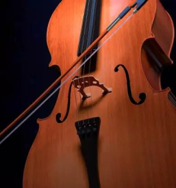 Popravilo glasbil slovenija