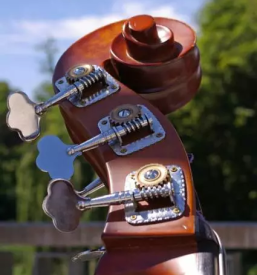 Popravilo glasbil slovenija