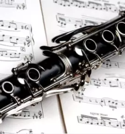 Popravilo glasbil slovenija