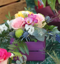 Porocni sopki domzale