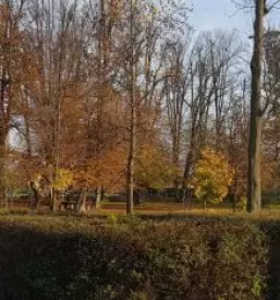 Posebni zavod za odrasle osebe Pomurje