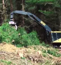 Posek in spravilo lesa dolenjska