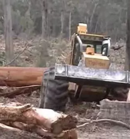Posek in spravilo lesa dolenjska