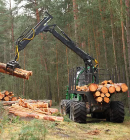 Kvaliteten posek in spravilo lesa Gorenjska