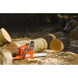 TONI ŠIRCELJ - NOSILEC DOPOLNILNE DEJAVNOSTI NA KMETIJI