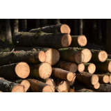 POSEK IN SPRAVILO LESA BOJAN HUDOROVAC S.P.