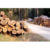 Anton Klopčič d.d.k.