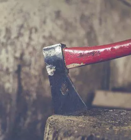 Posek spravilo in odvoz lesa postojna okolica