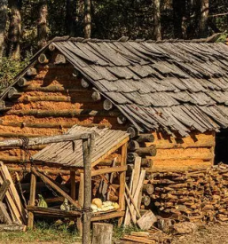 Posek spravilo in odvoz lesa postojna okolica