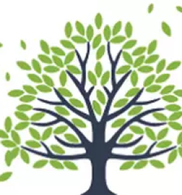 Ugodna družinska terapija Maribor