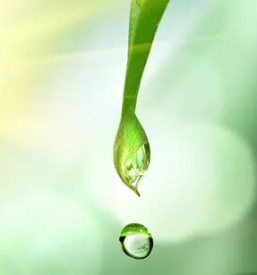 Alternativna terapija Maribor