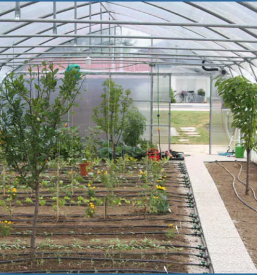 Postavitev namakalnega sistema v vrtnem rastlinjaku Slovenija