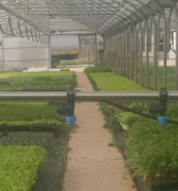 Montaža vrtnarskih namakalnih sistemov Slovenija