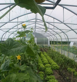 Vrtnarski namakalni sistem Slovenija