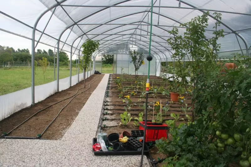 postavitev vrtnarskih namakalnih sistemov Slovenija