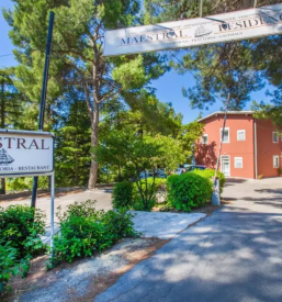 Organization of trips Slovenian coast